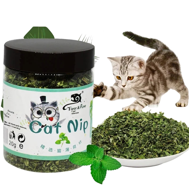 Catnip Tea Powder Ball for Cats